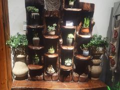 -慢丽江·云南野生菌土鸡锅(西山店)