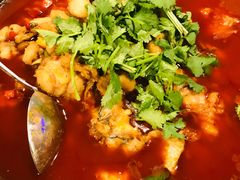 -虎虎龙虾大排档(双井店)