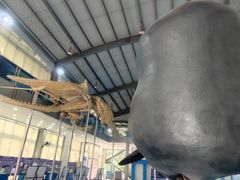 -上海海洋大学鱼文化博物馆(军工路校区)