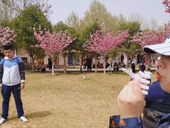 -古柏渡飞黄旅游区