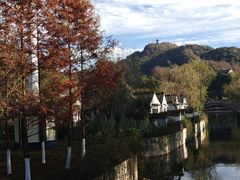 -绍兴大禹开元观堂-若耶厅