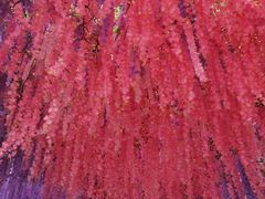 -名创优品(天河区正佳广场二店)