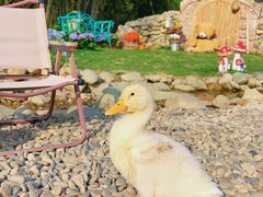 -HERRE·FARM 赫尔露营农场·团建聚会包场