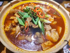 牛筋牛腩煲-腰子哥烤串(石佛营炫特店)