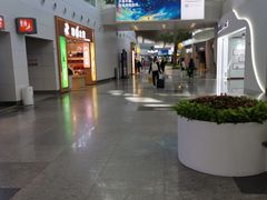 -厦门高崎国际机场-T3航站楼
