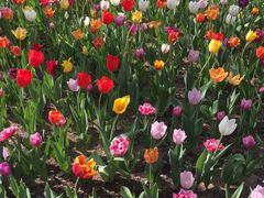 -长春公园(普阳街道)