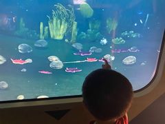 -珠海横琴国家地理探险家中心(创新方)