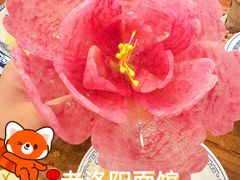 -老雒阳面馆·水席·洛阳菜(王城路店)