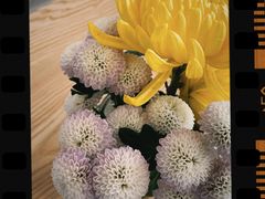 -WATER CAFE(广厦店)