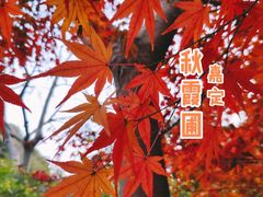 -秋霞圃