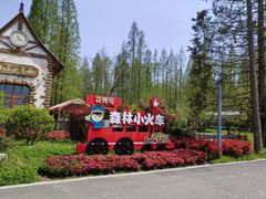 -东平国家森林公园