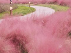 -汉长安城未央宫国家考古遗址公园