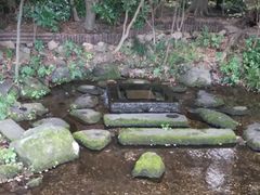 -井之头恩赐公园