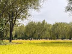 -北坞公园