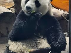 -石家庄市动物园