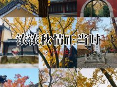 -灵谷景区