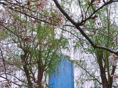 -西北湖绿化广场