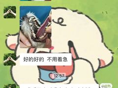 -米苏动物医院·犬猫专科·骨科外科内窥镜