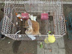 -前小桔亲子创意农场·草莓采摘·露营烧烤