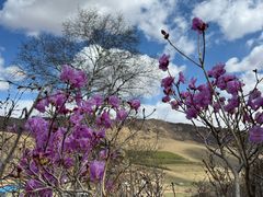 -克什克腾世界地质公园青山景区
