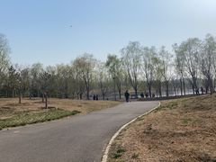 -马家湾湿地公园