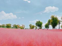 -汉长安城未央宫国家考古遗址公园