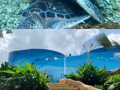 -广州海洋馆