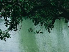 -靖西鹅泉风景区