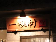 -一棵树(雨儿胡同)