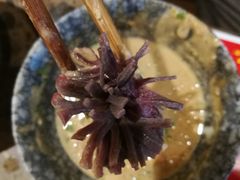 菊花郡肝-小龙坎老火锅(北京三里屯店)