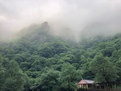 -青峰峡国家森林公园