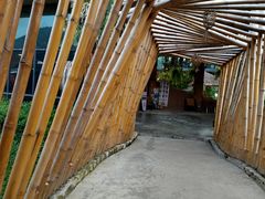 -The Ring Pavilion 魔幻森林