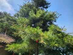 -太平万花山景区
