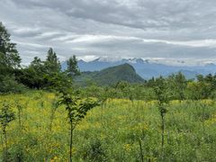 -窦圌山风景区