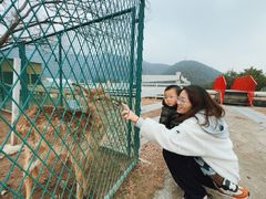 -宁波九龙湖开元度假村