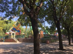 -朝阳公园游乐园