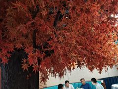 -雲蜀龙阁·金牌水煮鱼(方庄店)