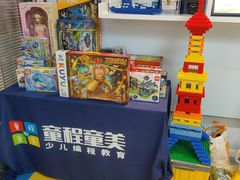 -童程童美信奥赛科技特长·乐高编程科创机器人(科大校区)