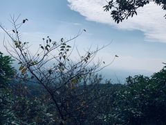 -广州市帽峰山景区