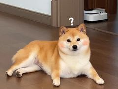 -西单翅酷(西单店)