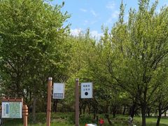 -同里国家湿地公园