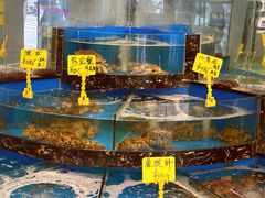 -丁字口海鲜热炒·烧烤大排档