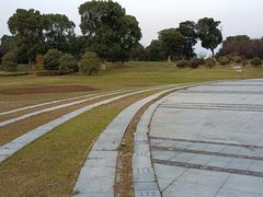 -漕湖湿地公园