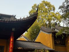 -灵谷景区