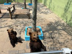 -西霞口神雕山野生动物世界