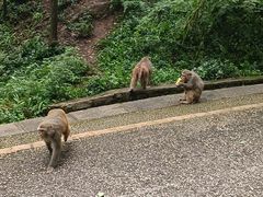 -黔灵山公园