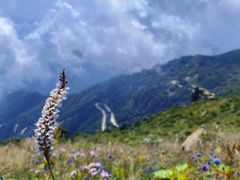 -白草畔自然风景区