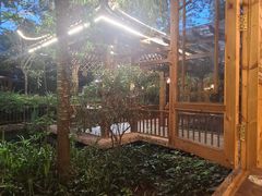 -山大王菌莊