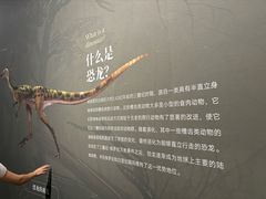 -遇见博物馆(遇见海洋沉浸式奇幻光影展)