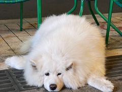 -阿毛饭店(和义路店)